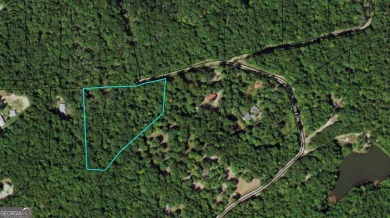 Come get lost from the busy hustle and bustle of city life for a on McLemore Golf Club in Georgia - for sale on GolfHomes.com, golf home, golf lot
