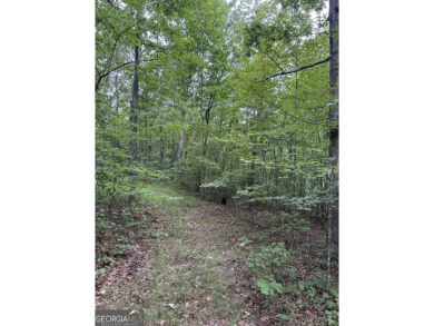 Come get lost from the busy hustle and bustle of city life for a on McLemore Golf Club in Georgia - for sale on GolfHomes.com, golf home, golf lot