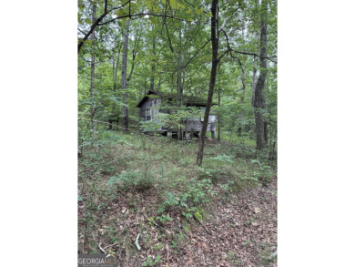 Come get lost from the busy hustle and bustle of city life for a on McLemore Golf Club in Georgia - for sale on GolfHomes.com, golf home, golf lot