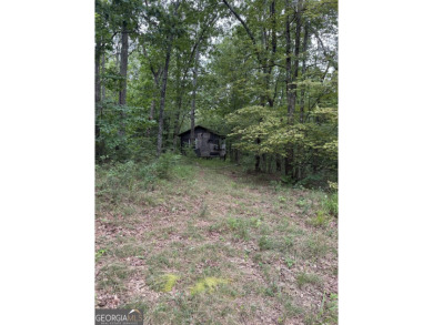 Come get lost from the busy hustle and bustle of city life for a on McLemore Golf Club in Georgia - for sale on GolfHomes.com, golf home, golf lot