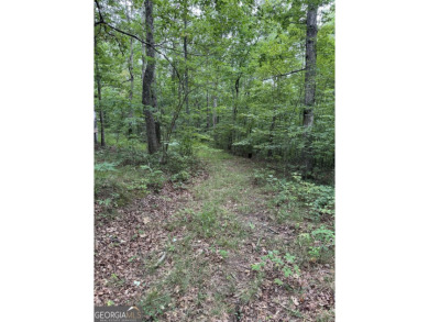 Come get lost from the busy hustle and bustle of city life for a on McLemore Golf Club in Georgia - for sale on GolfHomes.com, golf home, golf lot