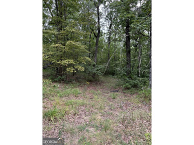 Come get lost from the busy hustle and bustle of city life for a on McLemore Golf Club in Georgia - for sale on GolfHomes.com, golf home, golf lot