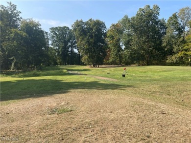 Online Real Estate Auction! Lands of Meander Golf Course! 44.9 on Meander Golf Course in Ohio - for sale on GolfHomes.com, golf home, golf lot