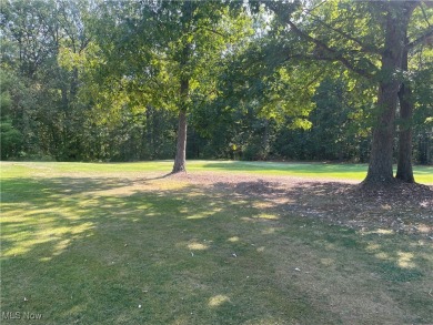 Online Real Estate Auction! Lands of Meander Golf Course! 44.9 on Meander Golf Course in Ohio - for sale on GolfHomes.com, golf home, golf lot