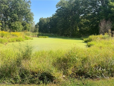 Online Real Estate Auction! Lands of Meander Golf Course! 44.9 on Meander Golf Course in Ohio - for sale on GolfHomes.com, golf home, golf lot