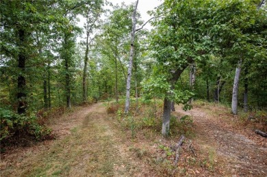 Welcome to the Lost 8! This incredible piece of property is the on Bella Vista Country Club - Kingswood in Arkansas - for sale on GolfHomes.com, golf home, golf lot