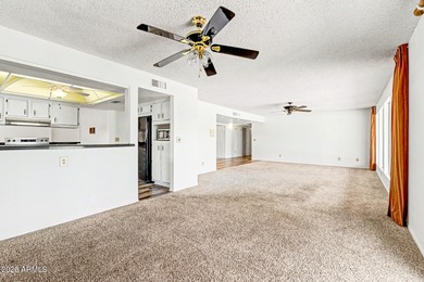 MILLION DOLLAR VIEW! Don't miss out on this Sun Lakes home with on Cottonwood Country Club in Arizona - for sale on GolfHomes.com, golf home, golf lot