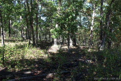 Build your dream home in the highly desirable Four Seasons on Seasons Ridge At Four Seasons in Missouri - for sale on GolfHomes.com, golf home, golf lot