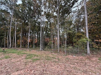 Stunning 2-story home with a 3rd car garage in a coveted on Traditions of Braselton Golf Club in Georgia - for sale on GolfHomes.com, golf home, golf lot