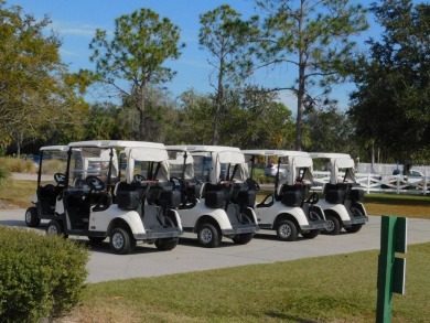 LOCATION! LOCATION! LOCATION! and NO MEMBERSHIP FEES on The Preserve Golf Club At Tara in Florida - for sale on GolfHomes.com, golf home, golf lot