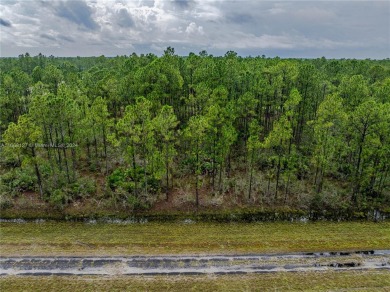 Exclusively listed by Sunland Real Estate: This 0.50-acre lot is on Indian Lake Estates Golf and Country Club in Florida - for sale on GolfHomes.com, golf home, golf lot