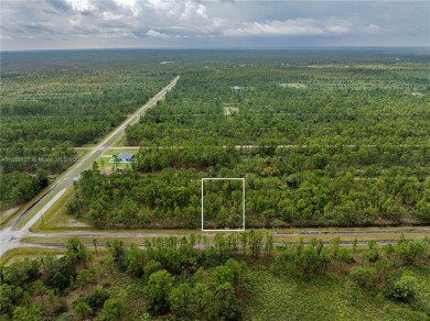Exclusively listed by Sunland Real Estate: This 0.50-acre lot is on Indian Lake Estates Golf and Country Club in Florida - for sale on GolfHomes.com, golf home, golf lot