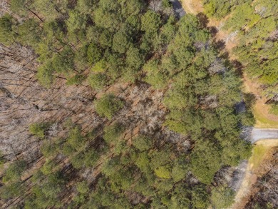 Beautifully wooded, level, .96 acre lot in The Landing, Reynolds on Reynolds Lake Oconee - The Landing in Georgia - for sale on GolfHomes.com, golf home, golf lot