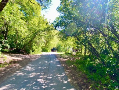Great wooded lot a stones throw from beautiful Hobble Creek Golf on  in Utah - for sale on GolfHomes.com, golf home, golf lot