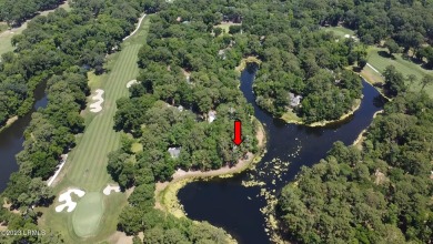 Build your dream home with water views and the tranquility of on Haig Point Golf Club in South Carolina - for sale on GolfHomes.com, golf home, golf lot