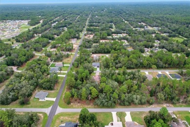 Come fall in love with this beautifully designed NEW on Citrus Springs Country Club in Florida - for sale on GolfHomes.com, golf home, golf lot
