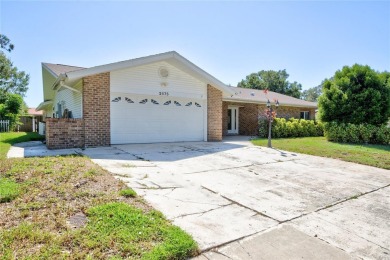 Owner Finance, Lease to own available too, Move in condition in on Countryside Country Club in Florida - for sale on GolfHomes.com, golf home, golf lot