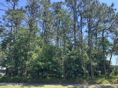 GOLF COURSE View Lot! A beautiful lot with several mature trees on St. Augustine Shores Golf Club in Florida - for sale on GolfHomes.com, golf home, golf lot
