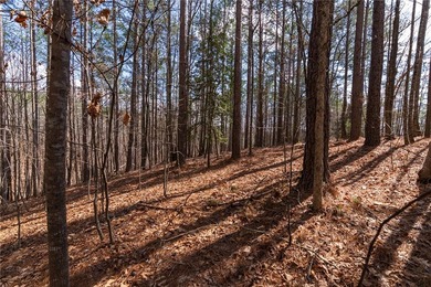 Set within the highly desirable community of The Cliffs at on The Cliffs At Keowee Springs in South Carolina - for sale on GolfHomes.com, golf home, golf lot