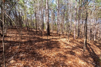 Set within the highly desirable community of The Cliffs at on The Cliffs At Keowee Springs in South Carolina - for sale on GolfHomes.com, golf home, golf lot