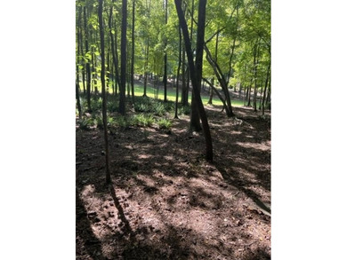 VERY RARE LARGE ALMOST ONE ACRE GOLF COURSE LOT IN THE HIGHLY on The Governors Towne Club in Georgia - for sale on GolfHomes.com, golf home, golf lot