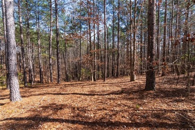 Set within the highly desirable community of The Cliffs at on The Cliffs At Keowee Springs in South Carolina - for sale on GolfHomes.com, golf home, golf lot