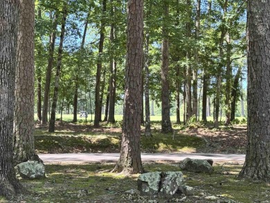 Enjoy golf course views and an unbeatable location near the West on DeSoto Golf Course in Arkansas - for sale on GolfHomes.com, golf home, golf lot