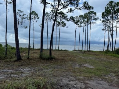 Enjoy gorgeous water views from the private front courtyard of on St. James Bay in Florida - for sale on GolfHomes.com, golf home, golf lot