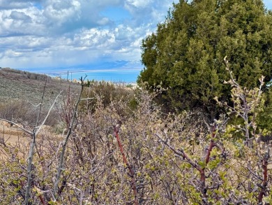 Large 1.35-acre beautiful easy-to-build-on lot with amazing on Bear Lake Golf Course in Utah - for sale on GolfHomes.com, golf home, golf lot