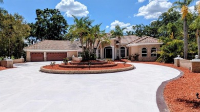 WELCOME TO PARADISE! You will LOVE this Elegant upgraded on East Lake Woodlands Country Club in Florida - for sale on GolfHomes.com, golf home, golf lot