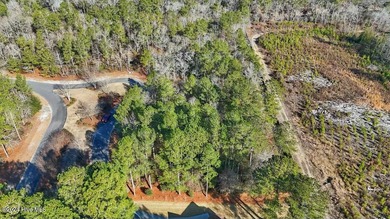 Looking to build your dream home? Look no further than in on River Landing Golf Course in North Carolina - for sale on GolfHomes.com, golf home, golf lot