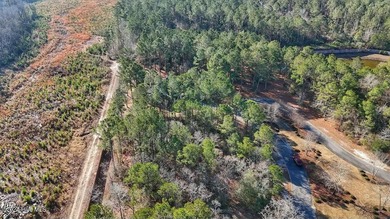 Looking to build your dream home? Look no further than in on River Landing Golf Course in North Carolina - for sale on GolfHomes.com, golf home, golf lot