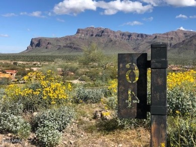 Spectacular elevated hillside Sonoran Desert home site. City on Superstition Mountain Club - Lost Gold in Arizona - for sale on GolfHomes.com, golf home, golf lot