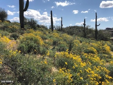 Spectacular elevated hillside Sonoran Desert home site. City on Superstition Mountain Club - Lost Gold in Arizona - for sale on GolfHomes.com, golf home, golf lot