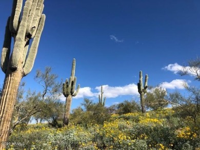 Spectacular elevated hillside Sonoran Desert home site. City on Superstition Mountain Club - Lost Gold in Arizona - for sale on GolfHomes.com, golf home, golf lot