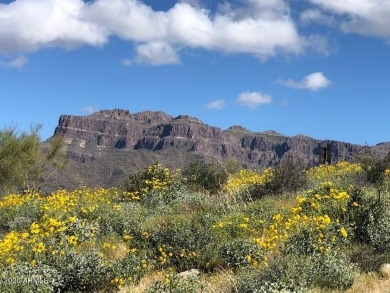 Spectacular elevated hillside Sonoran Desert home site. City on Superstition Mountain Club - Lost Gold in Arizona - for sale on GolfHomes.com, golf home, golf lot
