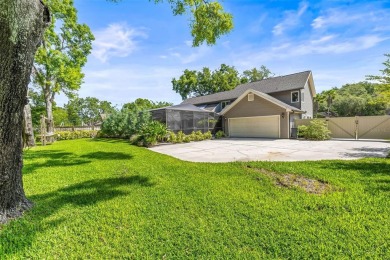 Welcome to 11804 Carrollwood Village Cove - Where Luxury Living on Emerald Greens Golf Resort and Country Club in Florida - for sale on GolfHomes.com, golf home, golf lot