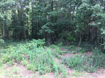 Beautiful wooded lot in golf course community. 2,000 SF minimum on Dothan National Golf Club & Hotel in Alabama - for sale on GolfHomes.com, golf home, golf lot