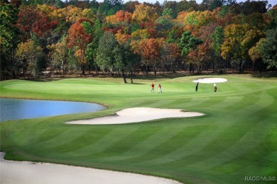 Looking for Low Maintenance Living??? You Just hit your gold on Brentwood Farms Golf Club in Florida - for sale on GolfHomes.com, golf home, golf lot