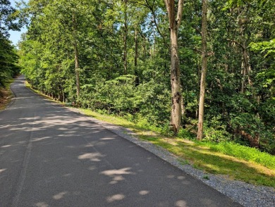 **AUCTION** List price is tax assessment value only. Selling on Mountain Greens Golf Course in Virginia - for sale on GolfHomes.com, golf home, golf lot