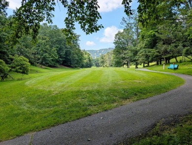 **AUCTION** List price is tax assessment value only. Selling on Mountain Greens Golf Course in Virginia - for sale on GolfHomes.com, golf home, golf lot