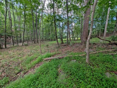 **AUCTION** List price is tax assessment value only. Selling on Mountain Greens Golf Course in Virginia - for sale on GolfHomes.com, golf home, golf lot