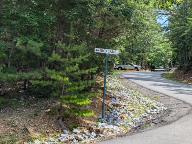 **AUCTION** List price is tax assessment value only. Selling on Mountain Greens Golf Course in Virginia - for sale on GolfHomes.com, golf home, golf lot