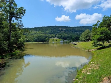 **AUCTION** List price is tax assessment value only. Selling on Mountain Greens Golf Course in Virginia - for sale on GolfHomes.com, golf home, golf lot