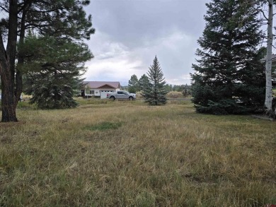 Laura Daniels, Team Pagosa Realty Group, C: , laura,  : Drive on on Pagosa Springs Golf Club in Colorado - for sale on GolfHomes.com, golf home, golf lot