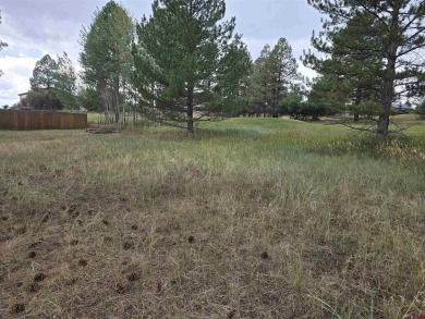 Laura Daniels, Team Pagosa Realty Group, C: , laura,  : Drive on on Pagosa Springs Golf Club in Colorado - for sale on GolfHomes.com, golf home, golf lot