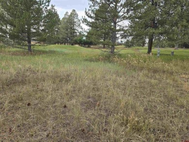 Laura Daniels, Team Pagosa Realty Group, C: , laura,  : Drive on on Pagosa Springs Golf Club in Colorado - for sale on GolfHomes.com, golf home, golf lot