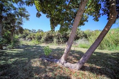 BRAND NEW CONSTRUCTION ON A FRESHWATER CANAL LOT WITH A GREAT on Mirror Lakes Golf Club in Florida - for sale on GolfHomes.com, golf home, golf lot