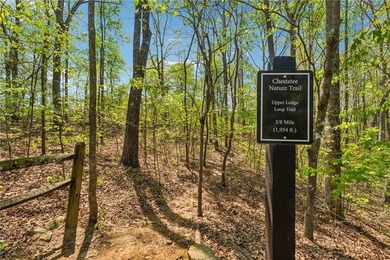 This is it! One of the last remaining golf course lots on highly on Chestatee Golf Club in Georgia - for sale on GolfHomes.com, golf home, golf lot
