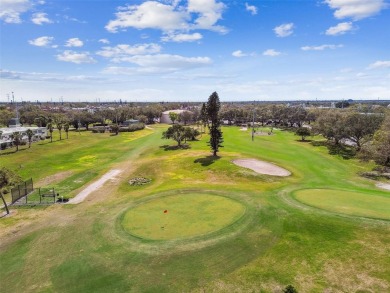 HERE TODAY, GONE TOMORROW. THIS ONE HAS IT ALL - GOLF COURSE on On Top Of The World Golf Course in Florida - for sale on GolfHomes.com, golf home, golf lot
